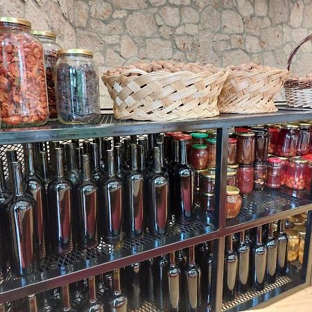 Vila Rira - Rrajce, Shebenik Perrenjas エクステリア 写真