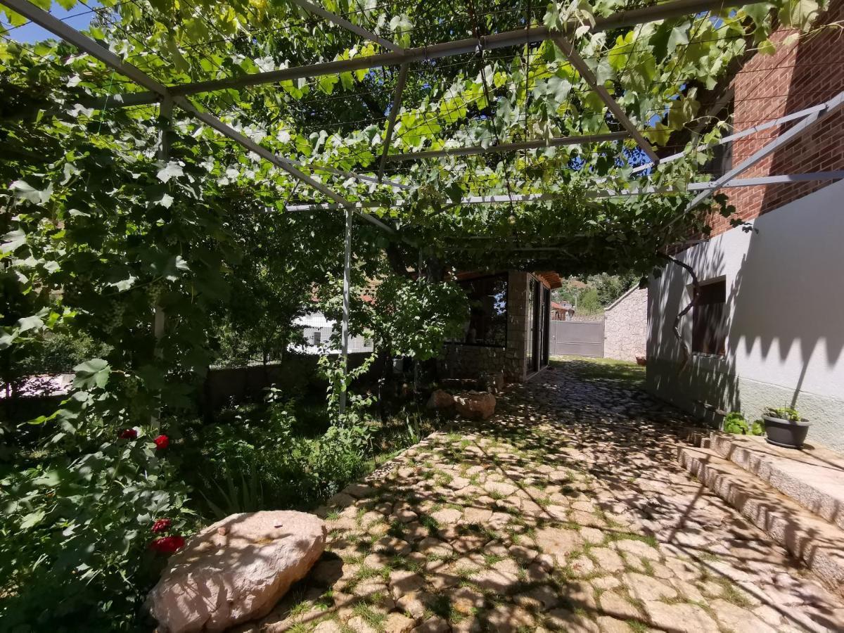 Vila Rira - Rrajce, Shebenik Perrenjas エクステリア 写真