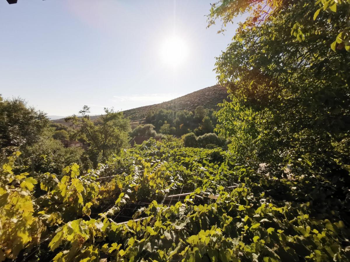 Vila Rira - Rrajce, Shebenik Perrenjas エクステリア 写真